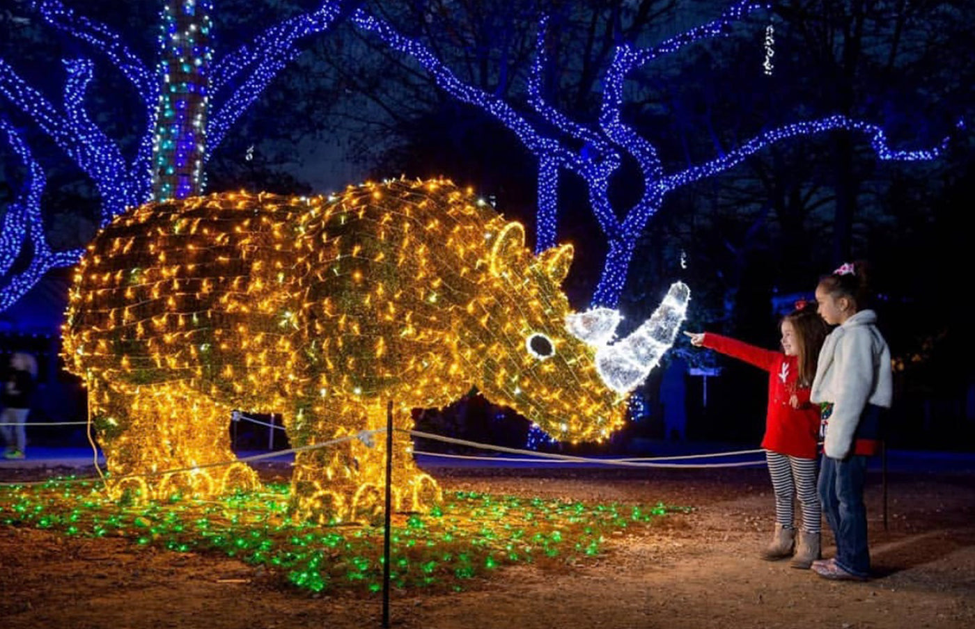 Lighted Animal Displays for Zoos