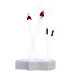 Ski Set