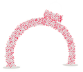 Lighted Walk Thru Ornament arch