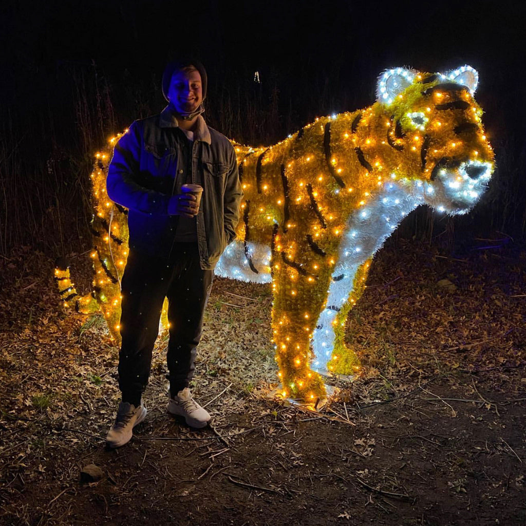 A man stands outdoors at night beside a large illuminated tiger sculpture made of warm and cool white lights. The scene is dark, with the tiger glowing brightly against the ground and shrubs.