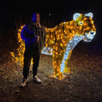 A man stands outdoors at night beside a large illuminated tiger sculpture made of warm and cool white lights. The scene is dark, with the tiger glowing brightly against the ground and shrubs.