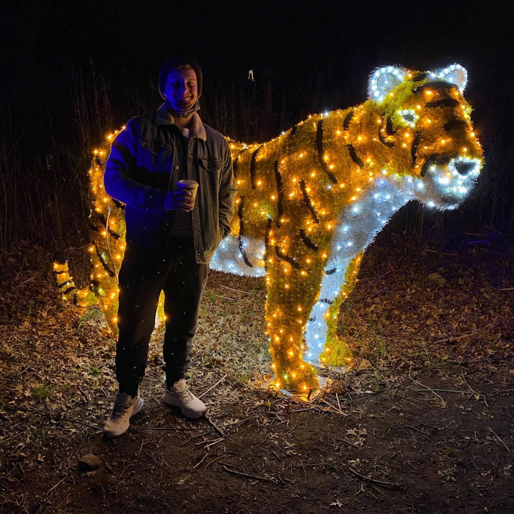A man stands outdoors at night beside a large illuminated tiger sculpture made of warm and cool white lights. The scene is dark, with the tiger glowing brightly against the ground and shrubs.