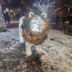 life-sized illuminated lion display