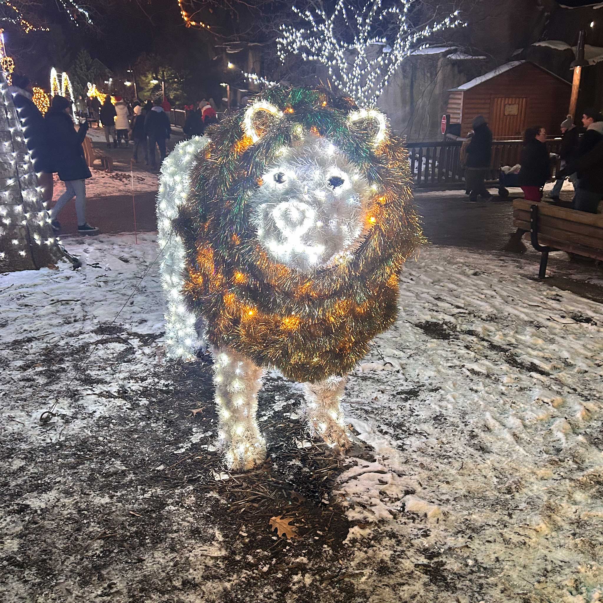 life-sized illuminated lion display