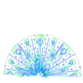 large 2D lighted peacock display for zoos and botanical gardens
