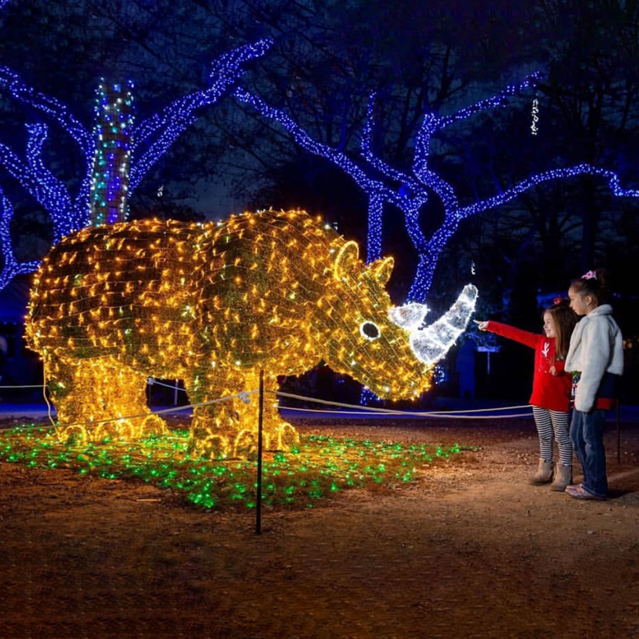 large illuminated rhino display with glowing warm lights and a white horn