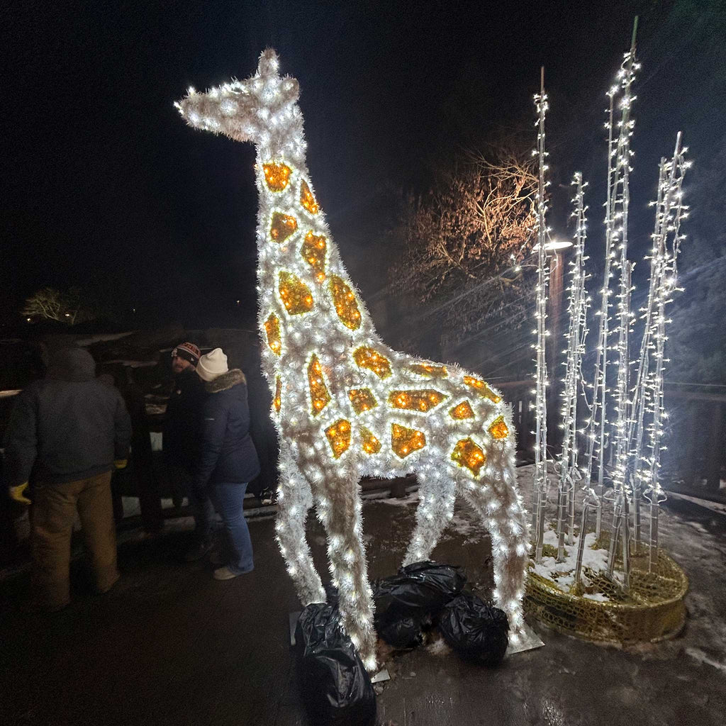 Large lighted giraffe at zoo holiday display
