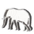 illuminated Majestic Elephant