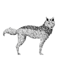 large illuminated wolf display for zoos