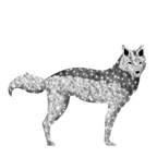 large illuminated wolf display for zoos
