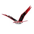 Large lighted bird display