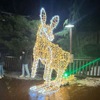 large kangaroo lighted decoration