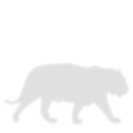 2D pre-lit tiger decoration
