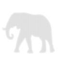 2D pre-lit elephant decoration for zoos