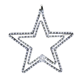2D Star with rope light