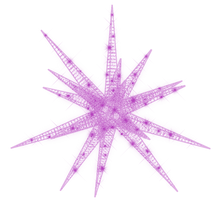Starburst in Purple