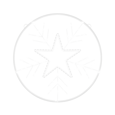 Star flake - snowflake