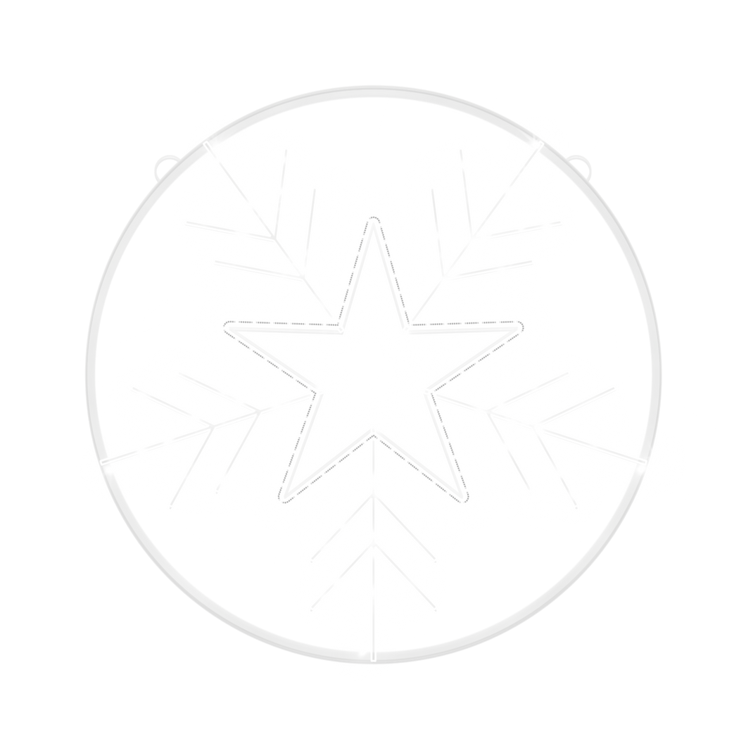 Star flake - snowflake