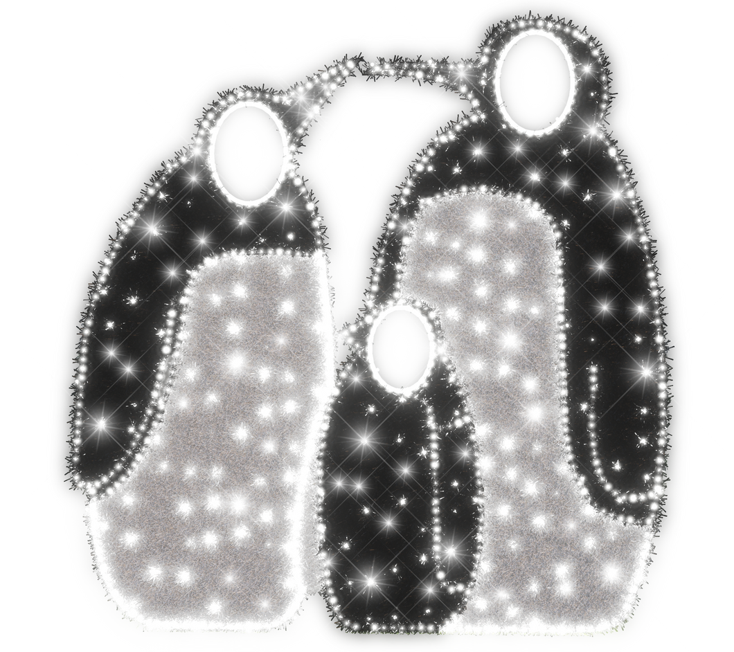 Penguin Photo Booth Light Display