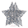 Radiant Silver Star - 6.5ft