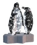 Penguin Family Light Display