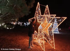 2D/3D Enchanted Gold Star - 10.5ft