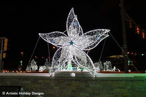 2D/3D Enchanted Edelweiss - 9.8ft