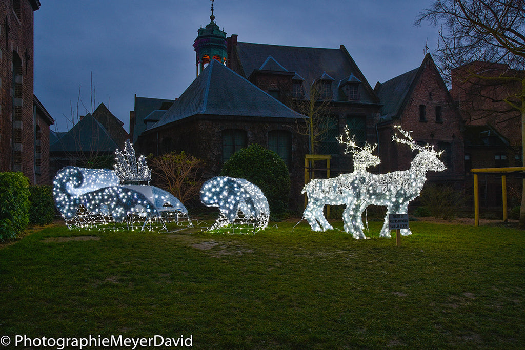 Frozen Sit in Sleigh - 6.13ft