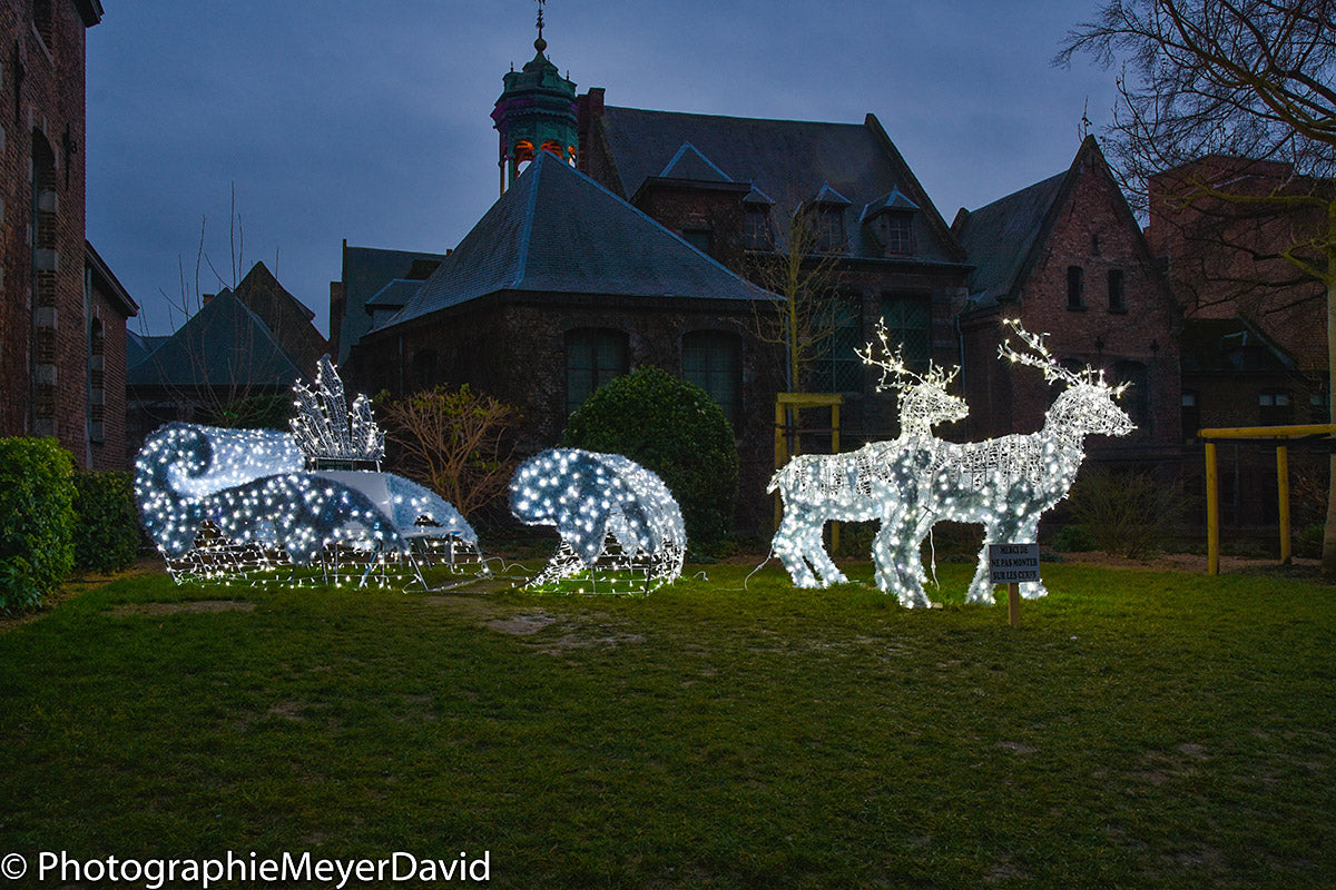 Frozen Sit in Sleigh - 6.13ft