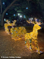 Gold Reindeer - 6.56ft