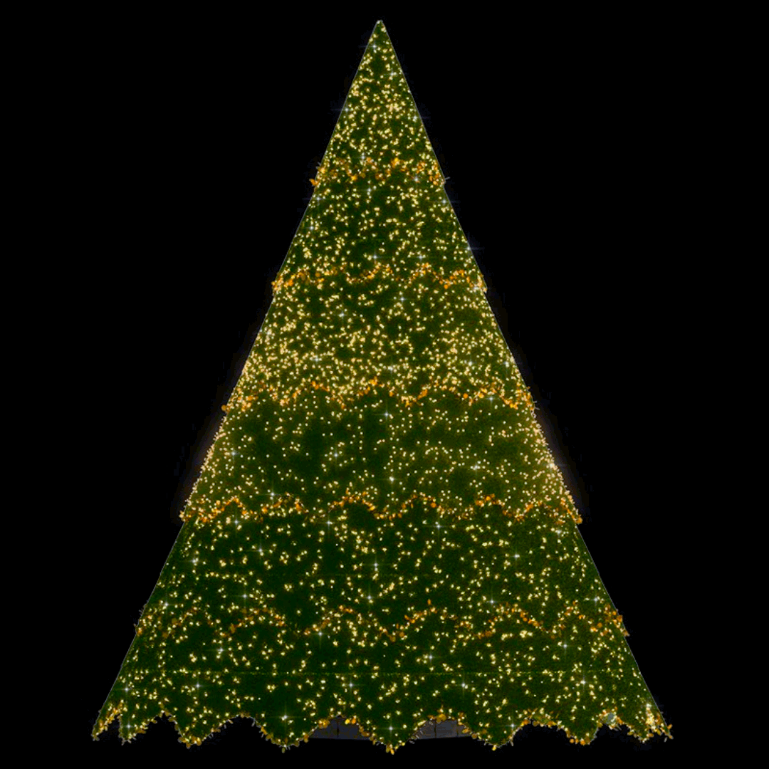 Grand Sylvestre - 24ft