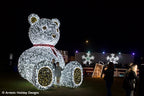 3D Big Teddy - 16.4ft