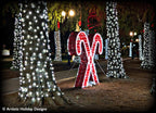 Majestic Red Candy Cane - 6.3ft
