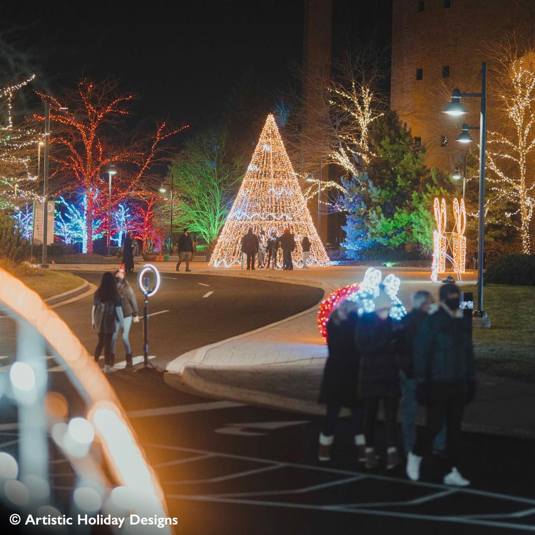 Gold Sylvestre - 24ft