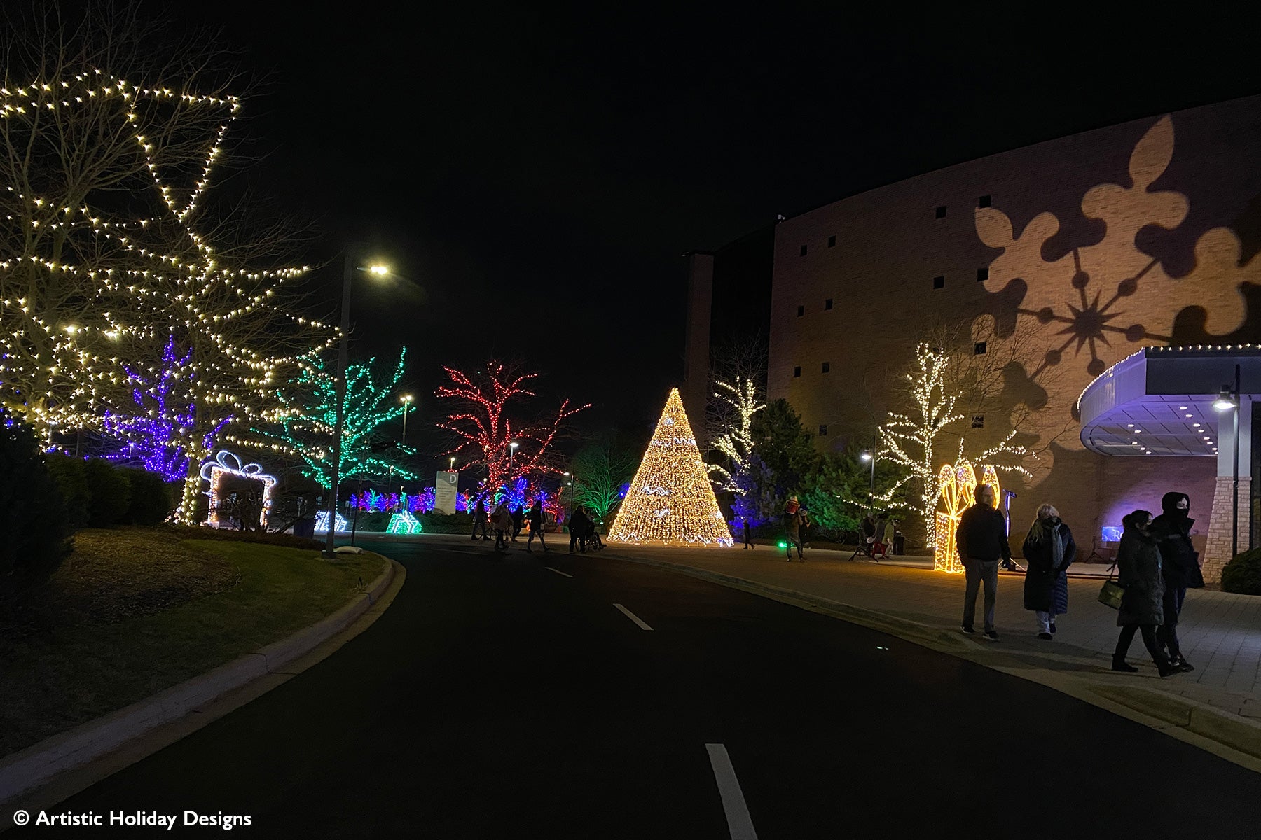 Gold Sylvestre - 24ft